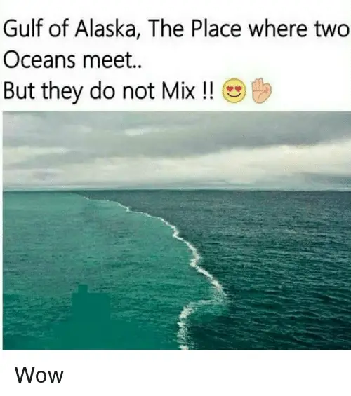 scientific analysis gulf of alaska