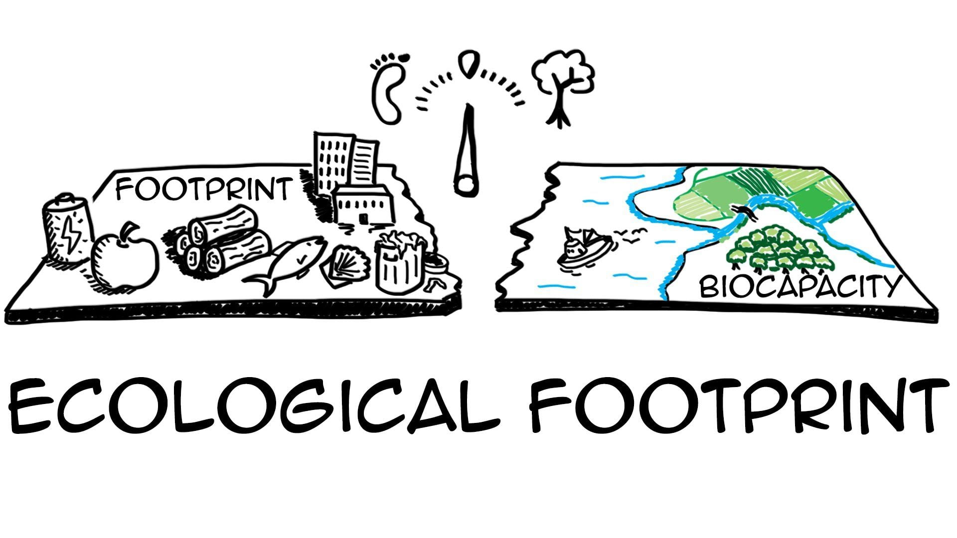 ecological footprint