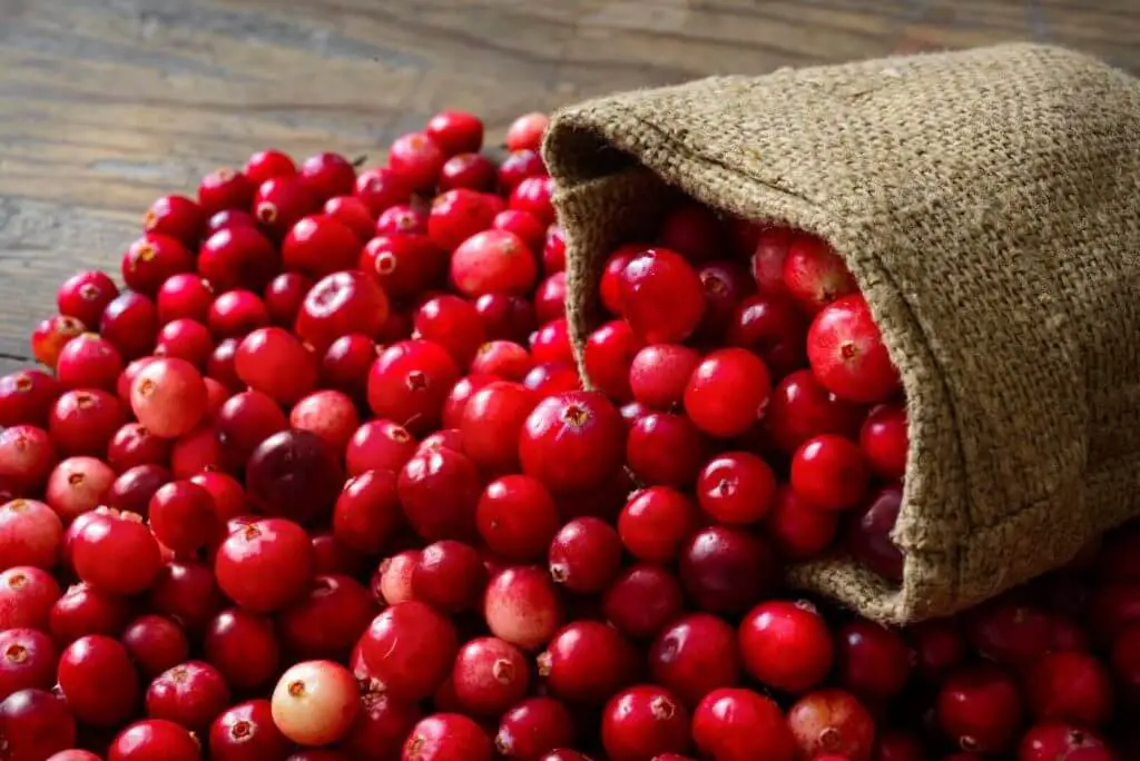 the health benefits of cranberries