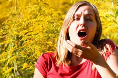 sneezing catalysts makes us sneeze