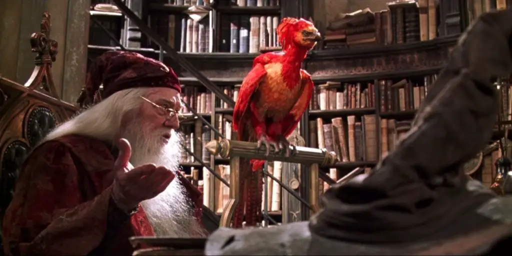 phoenix in Harry Potter