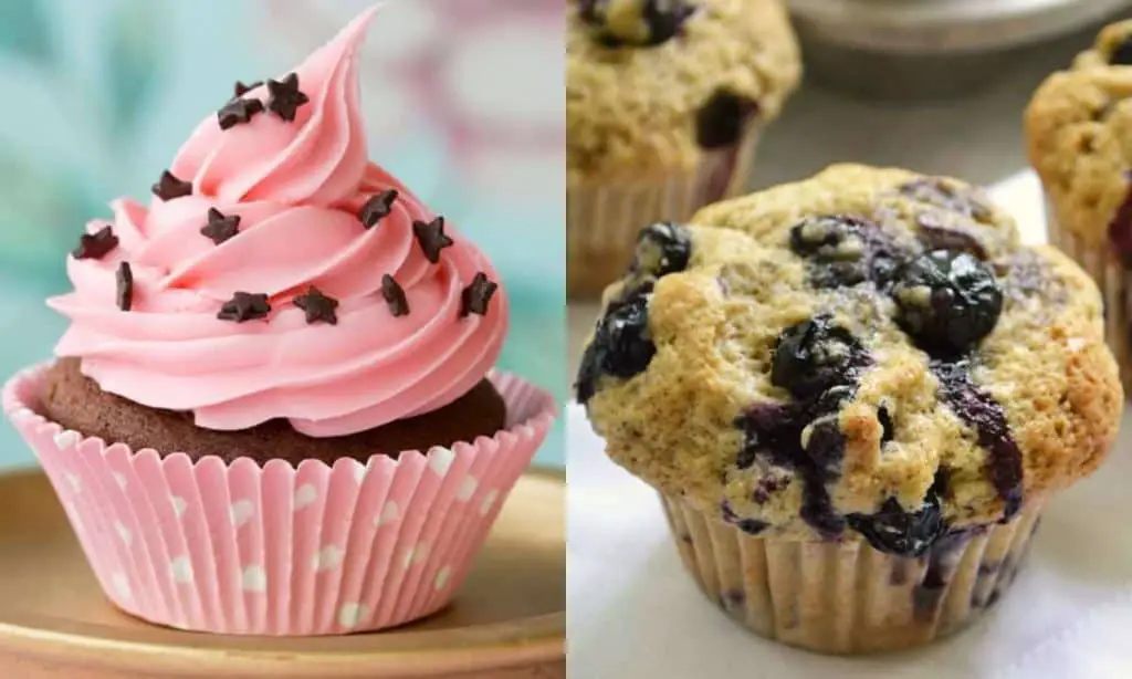 Muffins And Cupcakes