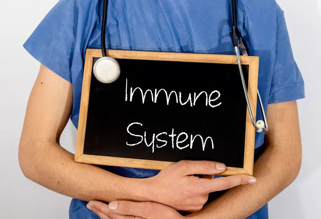How can you improve immunity?
