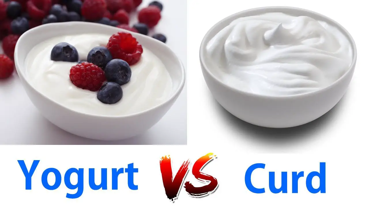 yogurt or curd