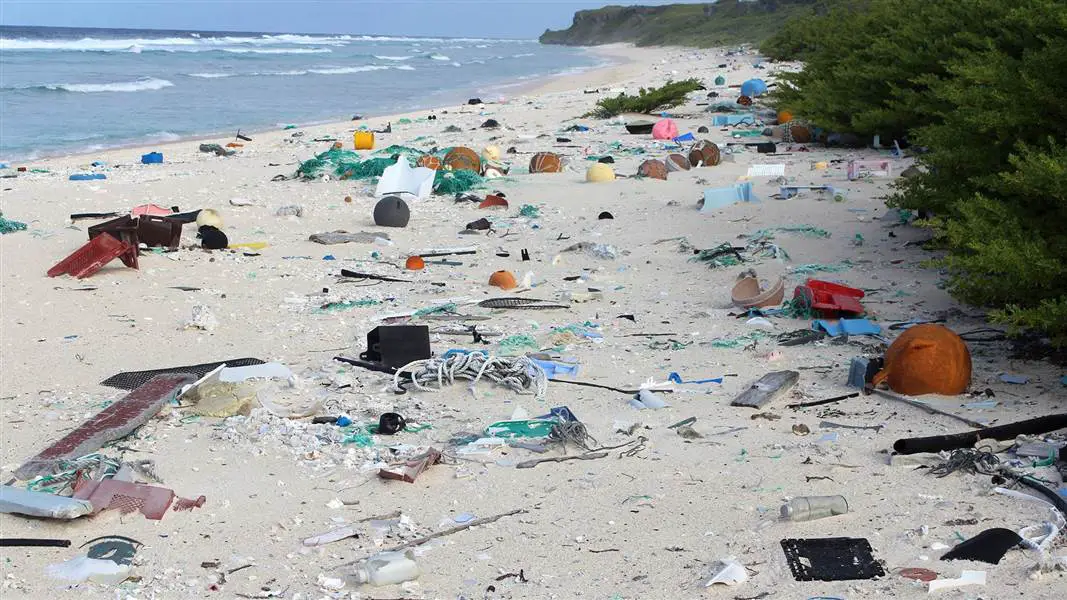 henderson island dirty place