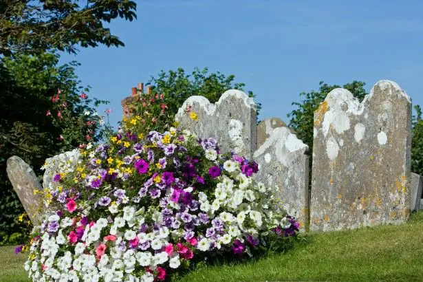 flowers on graves