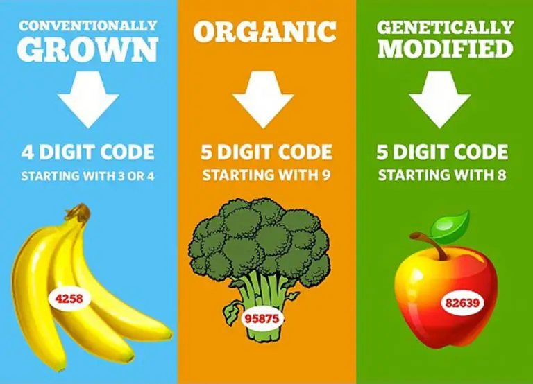 Genetically modified product