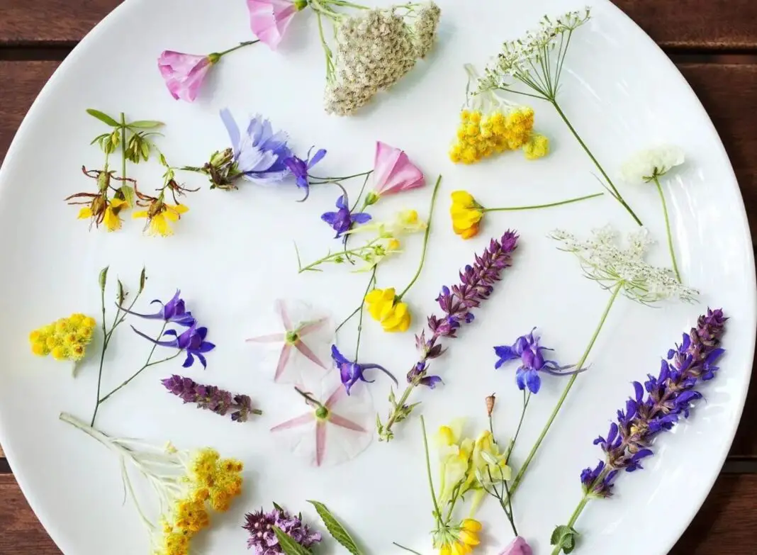 Edible Flowers That Will Please Your Palette
