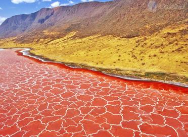 Does The Deadly Lake Natron Really Turn Animals Into Stone? - Procaffenation