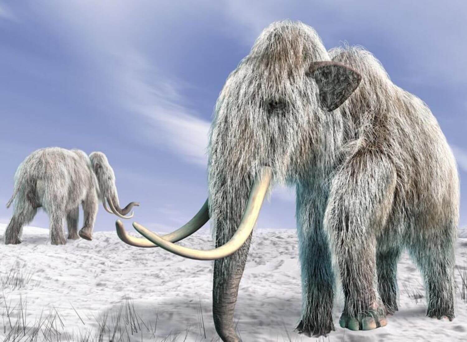 5 Incredible Ice Age Mammals Who Ruled Before Us