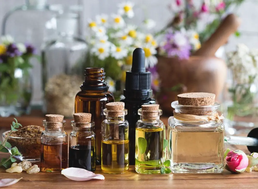 Essential Oils And Their Powerful Benefits