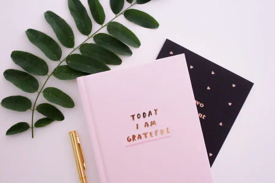 A Gratitude Journal
