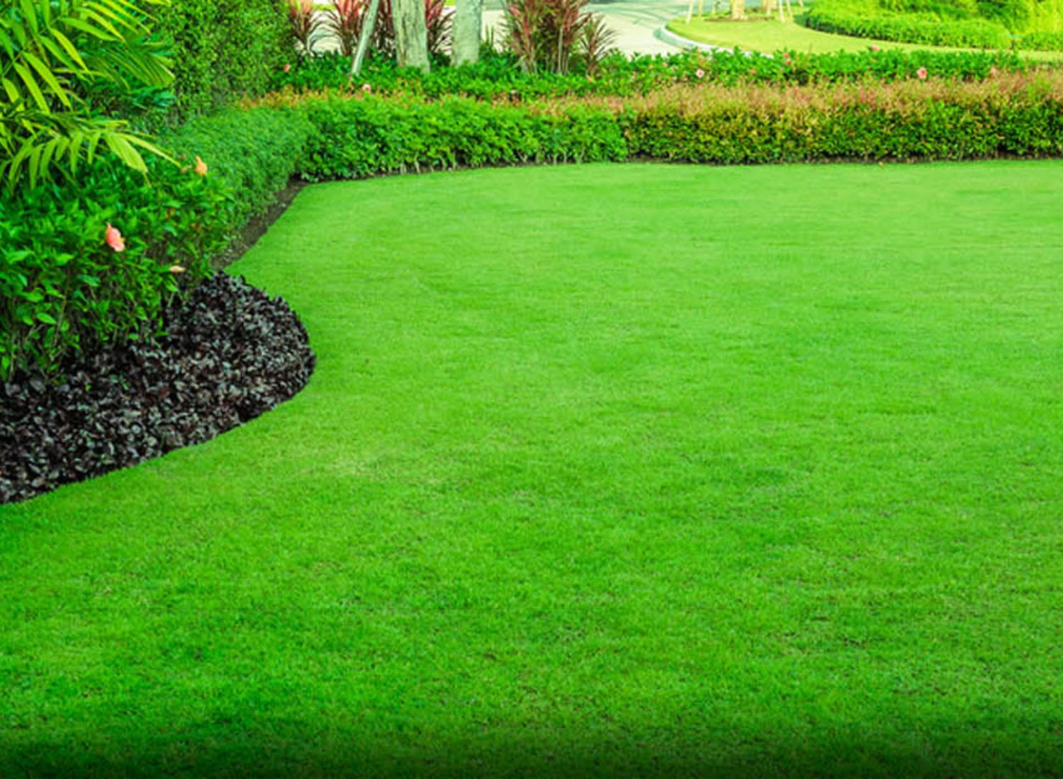 Essential Lawn Care Services Homeowners Look For