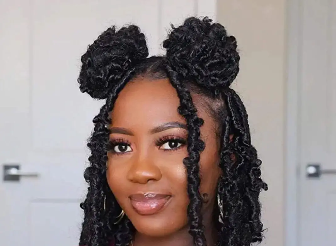 Butterfly Locs Hairstyle