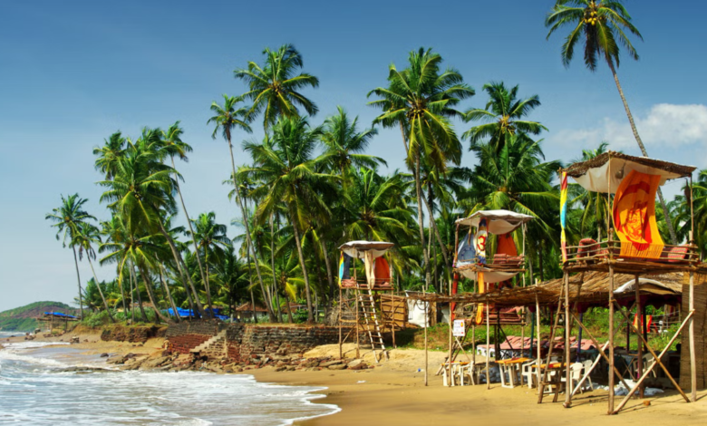Must Visit Places In Goa For First Timers